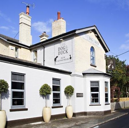 Апартаменты The Dog And Duck Suffolk Вудбридж Экстерьер фото